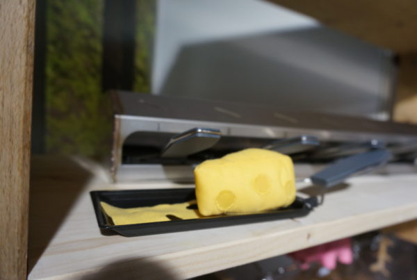 Raclette oder Mini-Pizza vom Grillmeter